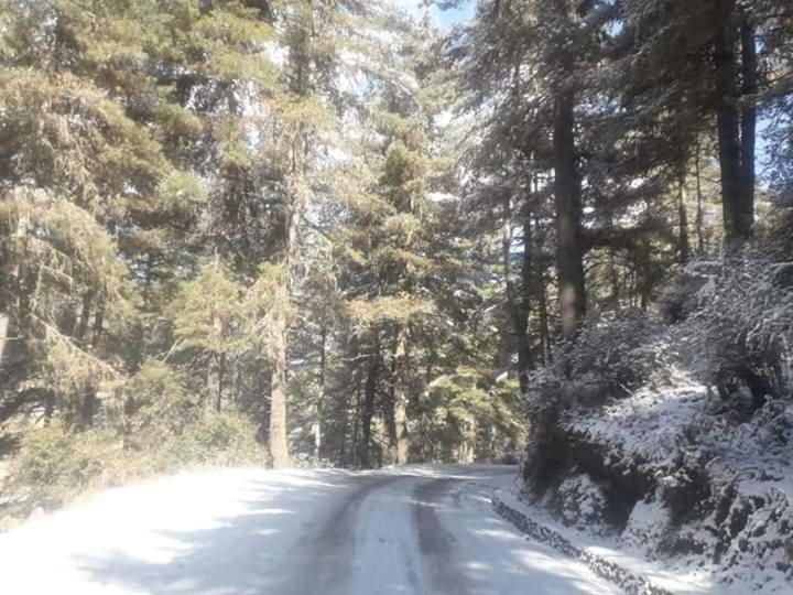 Odiyana Hotel Gangtey Gonpa Exteriör bild